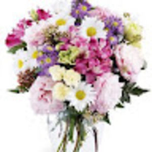 Meet your Posher, Susie